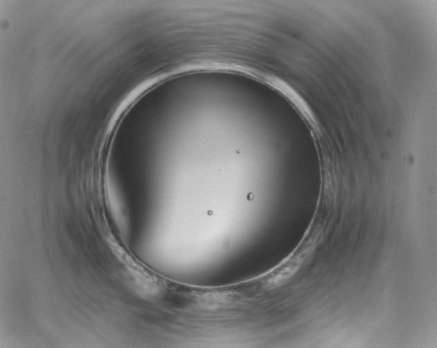 X0000062171004200512091425