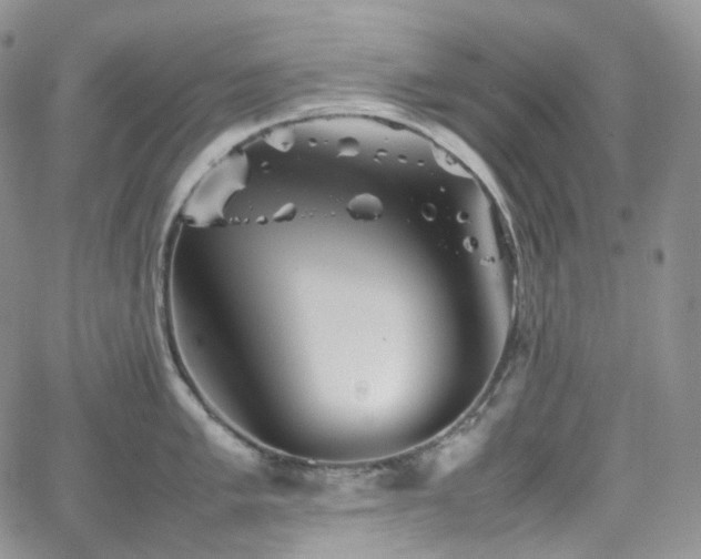 X0000062171005200512091425