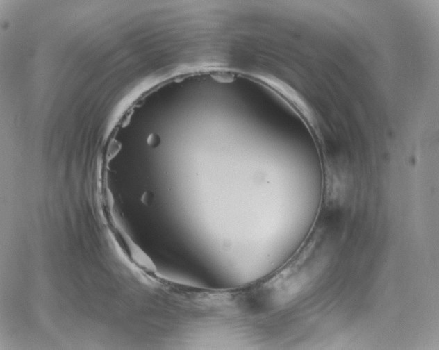 X0000062171006200512091425