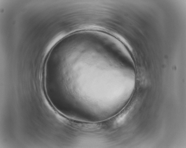 X0000062171007200512091425