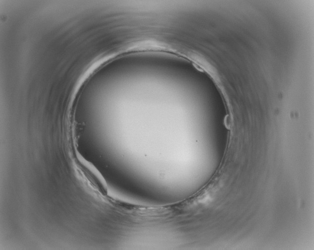 X0000062171008200512091425