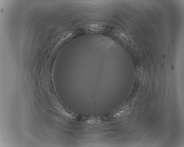 X0000062171009200512091424