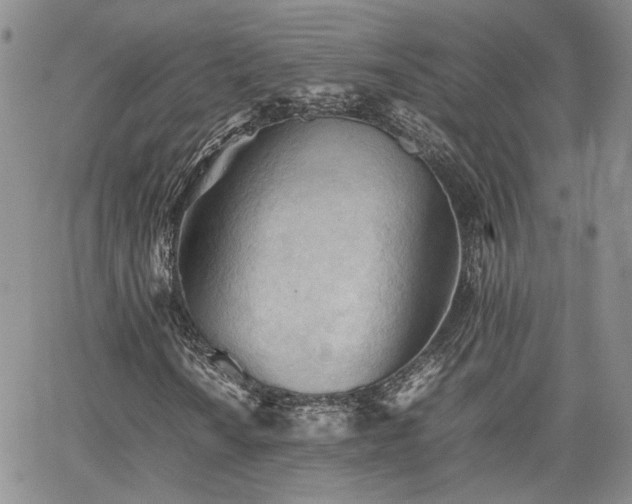 X0000062171010200512091424