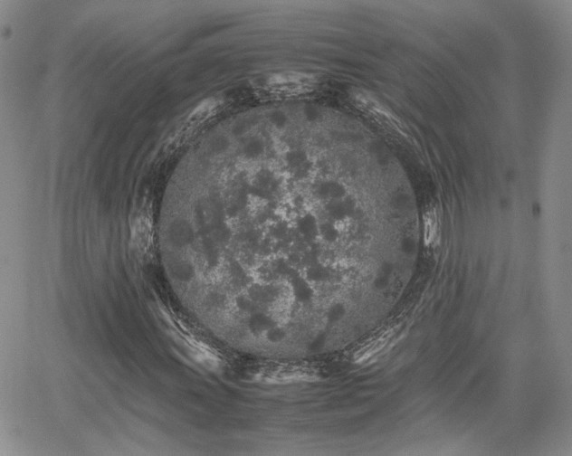 X0000062171011200512091424