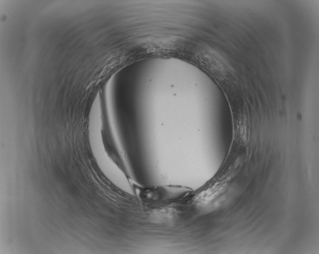 X0000062171012200512091424