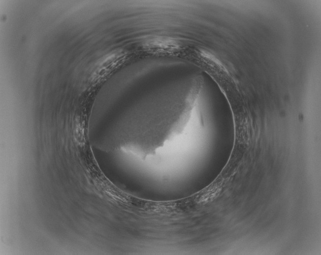 X0000062171013200512091424