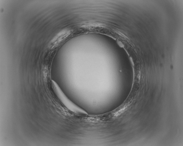 X0000062171014200512091424