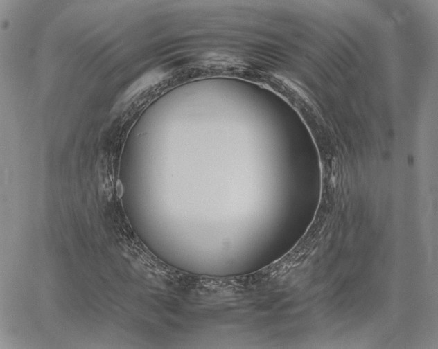 X0000062171015200512091424