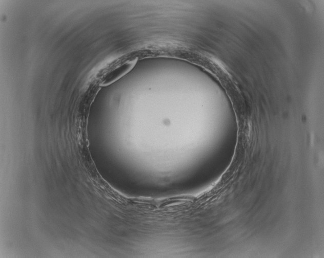 X0000062171016200512091424