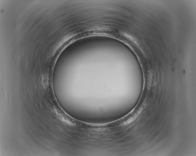 X0000062171017200512091424