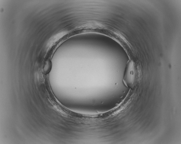 X0000062171018200512091424