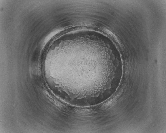 X0000062171019200512091424