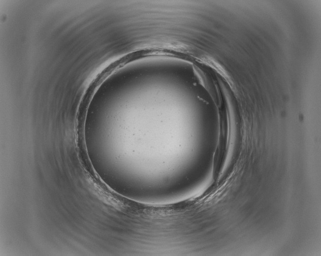 X0000062171020200512091424