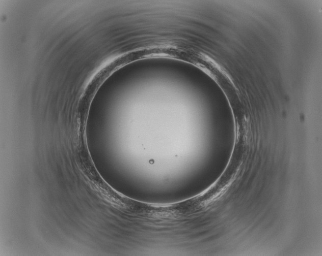 X0000062171021200512091424