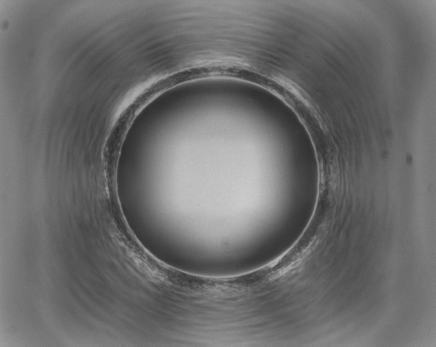 X0000062171022200512091425