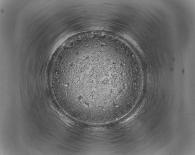 X0000062171023200512091425