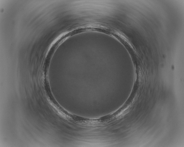 X0000062171024200512091425