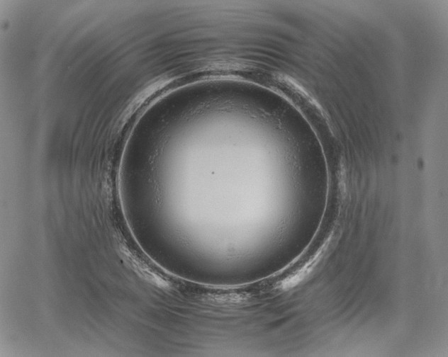 X0000062171025200512091425