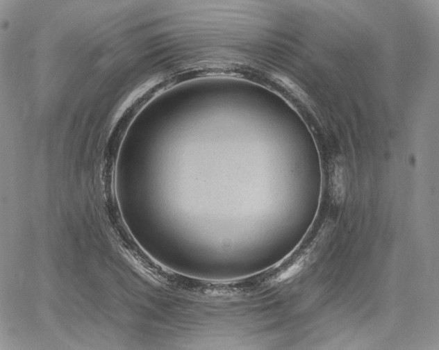 X0000062171026200512091425