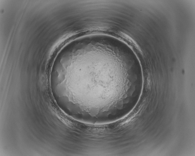 X0000062171027200512091425