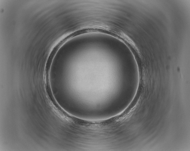 X0000062171028200512091425