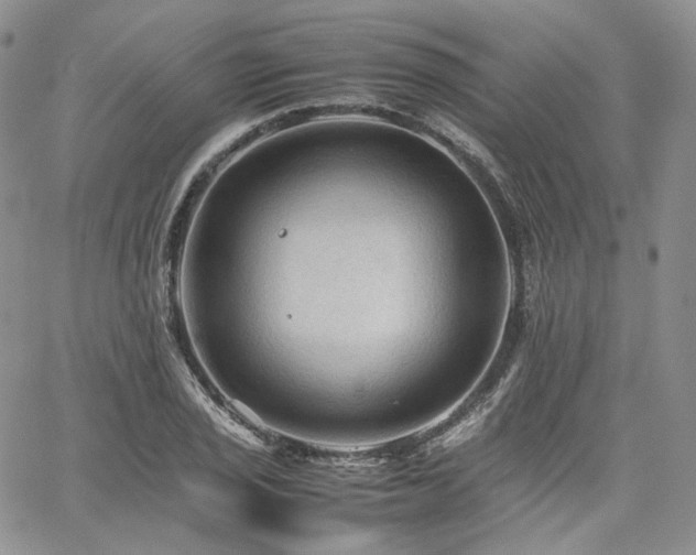 X0000062171029200512091425