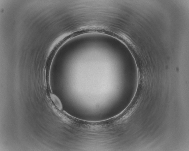 X0000062171030200512091425