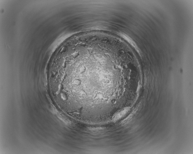 X0000062171031200512091425