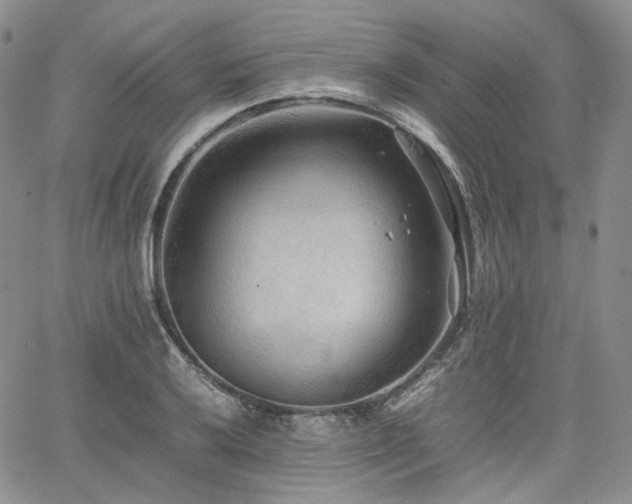 X0000062171032200512091425