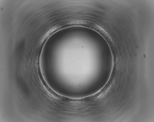 X0000062171033200512091425