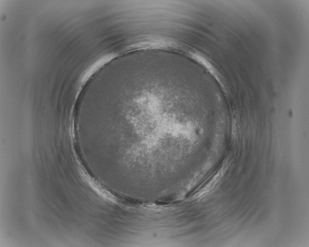 X0000062171034200512091425