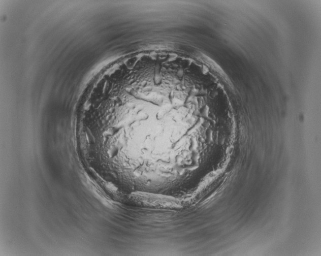 X0000062171035200512091425