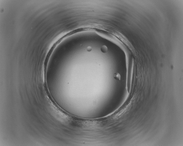 X0000062171036200512091425