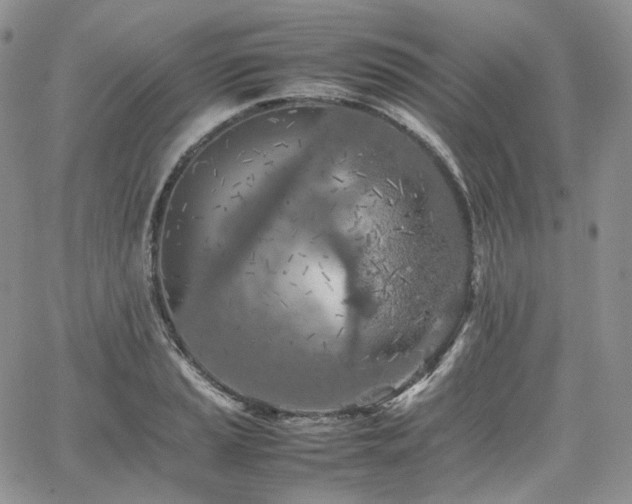 X0000062171037200512091425