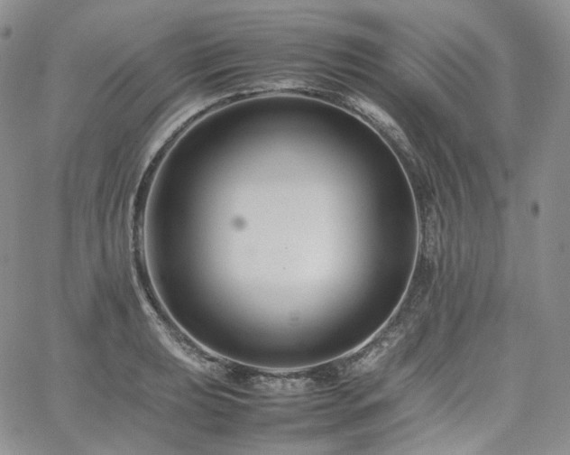 X0000062171039200512091425