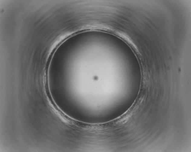 X0000062171040200512091425