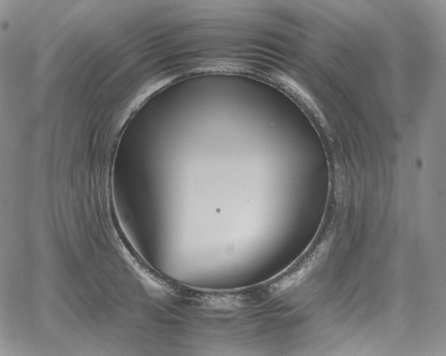 X0000062171041200512091425