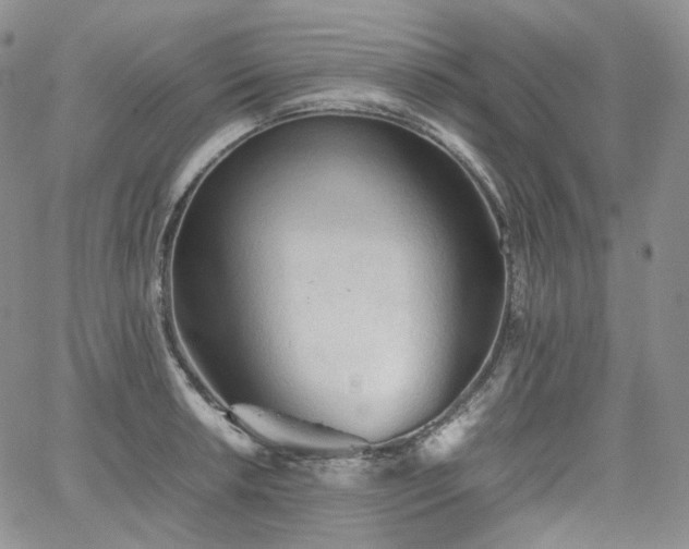 X0000062171042200512091425