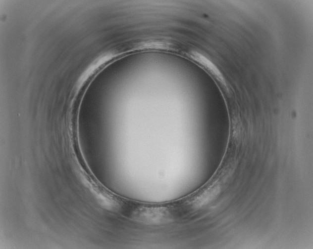 X0000062171043200512091425