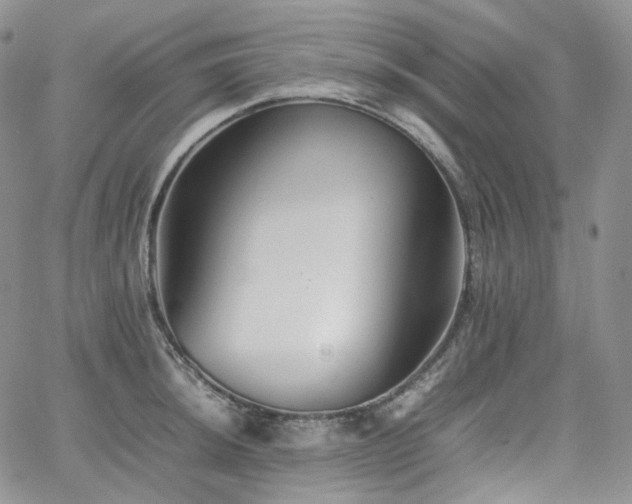 X0000062171044200512091425