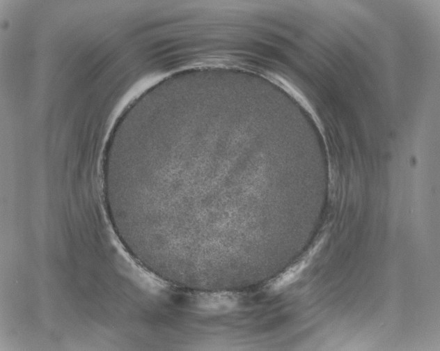 X0000062171045200512091425