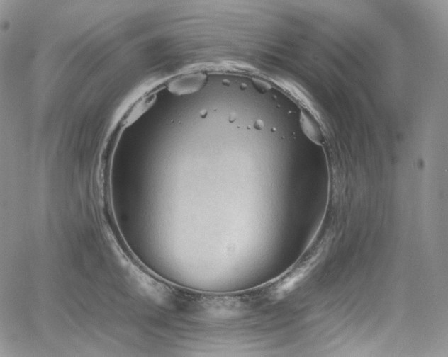 X0000062171046200512091425