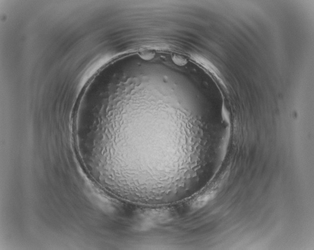 X0000062171047200512091425