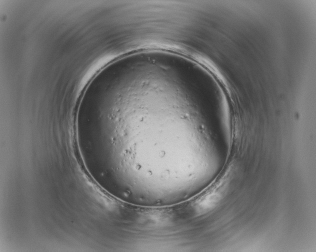 X0000062171048200512091425