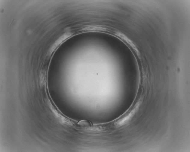 X0000062171049200512091425