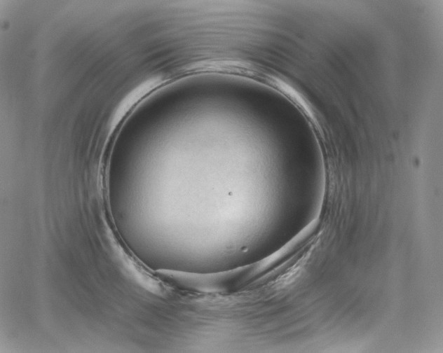 X0000062171050200512091425