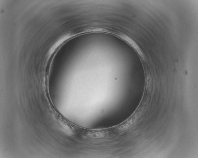 X0000062171051200512091425