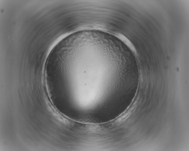 X0000062171052200512091425