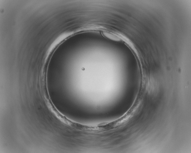 X0000062171053200512091425