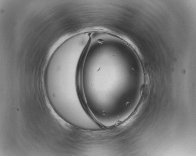 X0000062171054200512091425